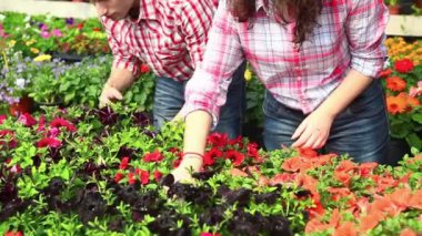 bahçıvanlar, kreş