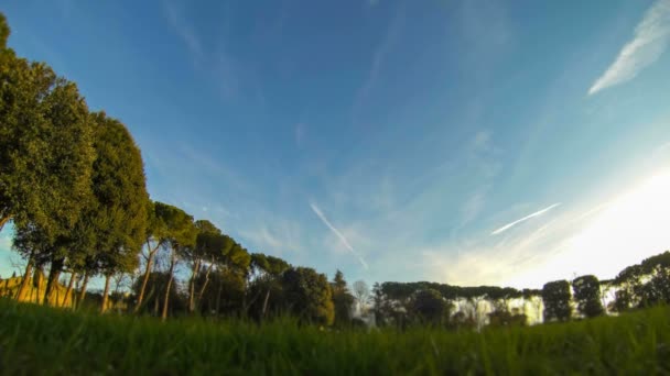 Nubes en el cielo — Vídeo de stock