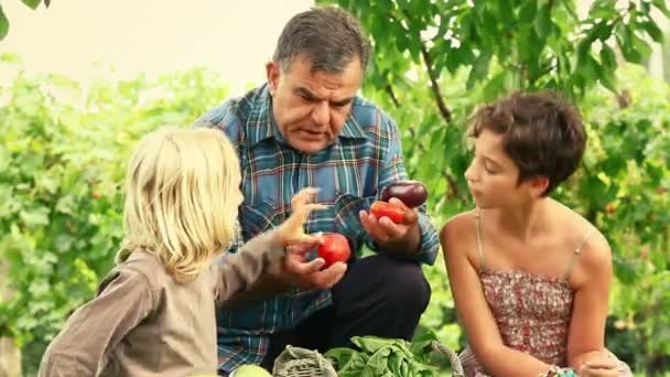 Agricultor adulto con niños y verduras cosechadas — Vídeos de Stock