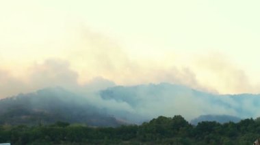 Orman yangını duman
