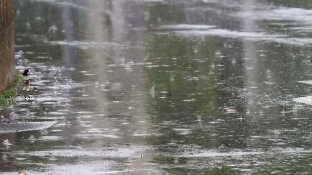 A városban esik az eső — Stock videók