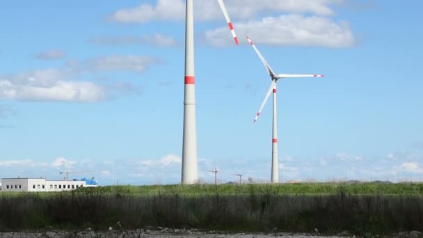 Windturbinepark — Stockvideo