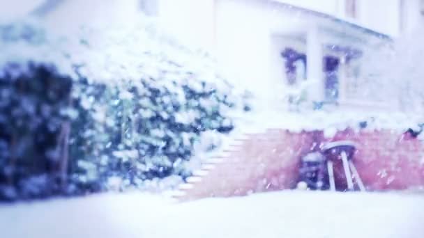 雪の天気 — ストック動画