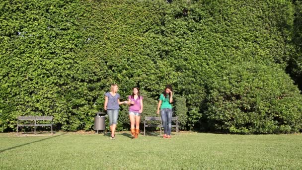 Young girls at park — Stock Video