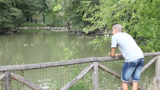 Hombre en el parque con lago — Vídeo de stock