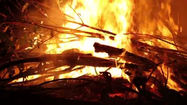 Пылающий огонь — стоковое видео