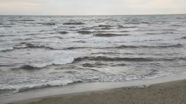 Kumlu plaj — Stok video