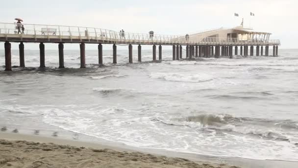 Gente en el muelle — Vídeos de Stock