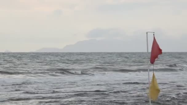 Vlaggen op kust van ruwe zee — Stockvideo