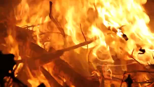 Brinnande eld — Stockvideo