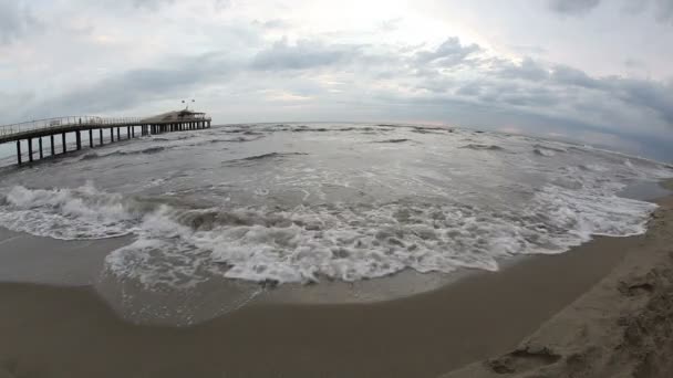 Olas en la orilla del mar — Vídeos de Stock