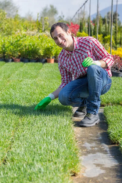 Jovem jardineiro que trabalha no berçário — Fotografia de Stock