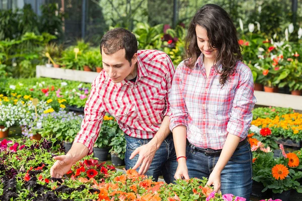 Young Gardeners Working at Nursery — Stock Photo, Image