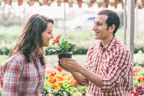 Young Gardeners Working at Nursery — Stock Photo, Image