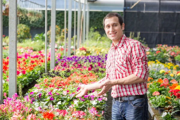 Jonge tuinman werken bij kwekerij — Stockfoto