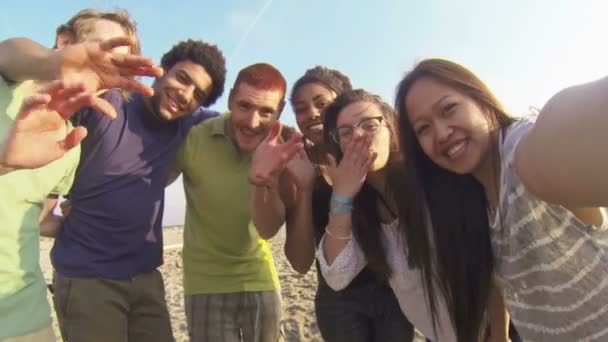 Друзья, развлекающиеся на пляже — стоковое видео