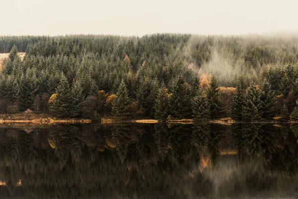 Осенняя Сцена Туман Над Деревьями Рядом Озером Природа Путешествия Тематическая — стоковое фото