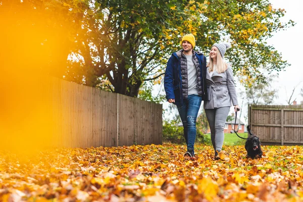 Happy Couple Walking Dog Park Autumn Leaves Ground Fiatal Pár — Stock Fotó