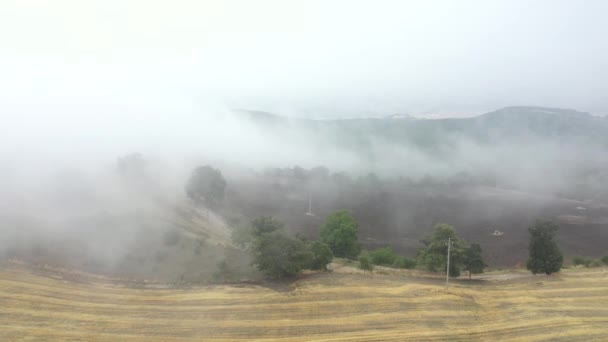 Mgła na wsi nad polami i ziemiami jesienią — Wideo stockowe