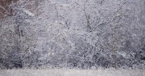 在英格兰一个典型的村子里，寒冷的冬日下着雪 — 图库视频影像