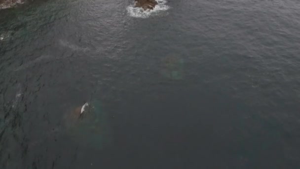 Берег Корнуола зі скелями та океанічними хвилями. — стокове відео