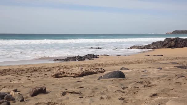 푸에르테벤투라의해 변을 배경으로 하는 모래사장 과대 양의 파도 — 비디오