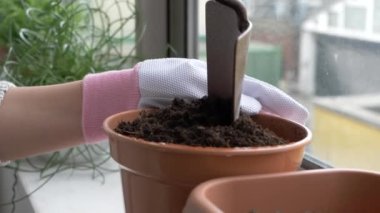 Kadın evde bahçeyle uğraşıyor, çiçekleri suluyor ve onlara bakıyor.