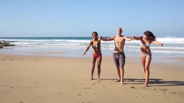Grupo multirracial de amigos celebrando en la playa a orillas del mar — Vídeos de Stock