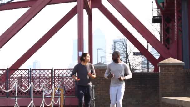 Vielrassige männliche Freunde laufen und joggen zusammen — Stockvideo