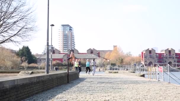 男性と女性が一緒に走る多人種グループ — ストック動画