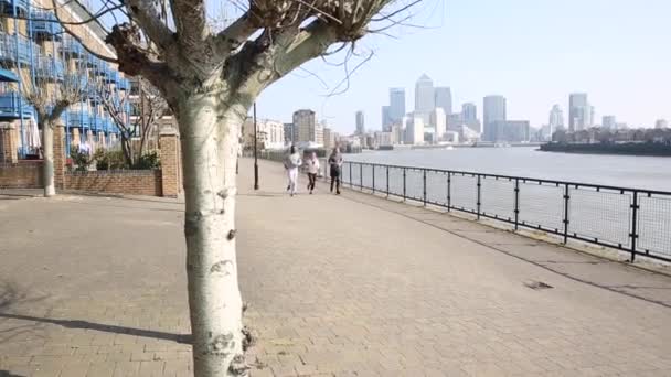 Vielrassige Freundesgruppe mit Männern und Frauen, die zusammen laufen — Stockvideo