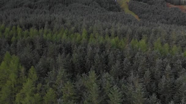 Vista aérea de uma madeira verde nas terras altas da Escócia e uma cachoeira em t — Vídeo de Stock