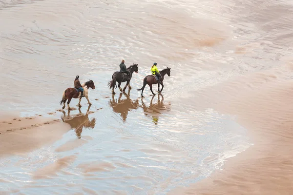 Menschen Reiten Strand Luftaufnahme Drei Personen Mit Pferden Strand Bei — Stockfoto