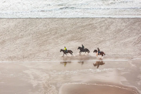 Persone Equitazione Sulla Spiaggia Vista Aerea Tre Persone Con Cavalli — Foto Stock
