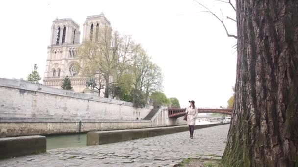 Authentic Shot Happy Woman Walking River Seine Paris Notre Dame — Stock Video