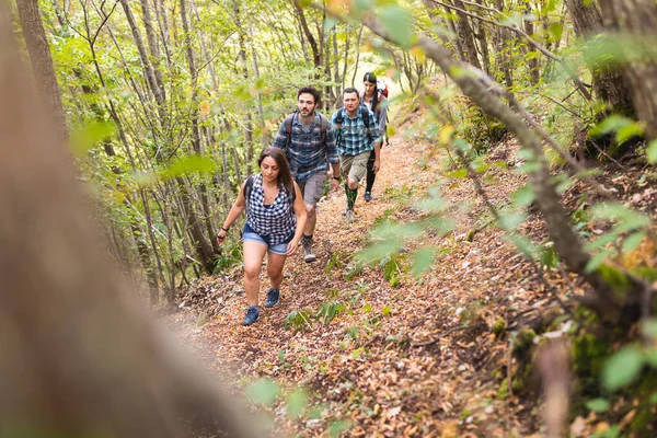 Gente Caminando Bosque Hasta Las Montañas Grupo Con Hombres Mujeres —  Fotos de Stock