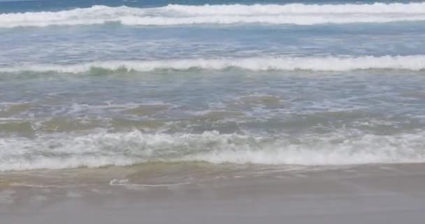 Fale i plaża nad morzem w Kornwalii — Wideo stockowe