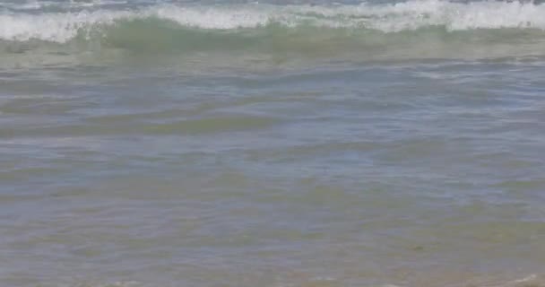 Fale i plaża nad morzem w Kornwalii — Wideo stockowe