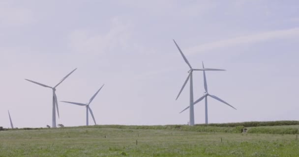 Elektrik enerjisi üretimi için rüzgar türbinleri — Stok video