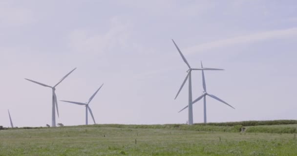 Vindturbiner för elenergiproduktion — Stockvideo