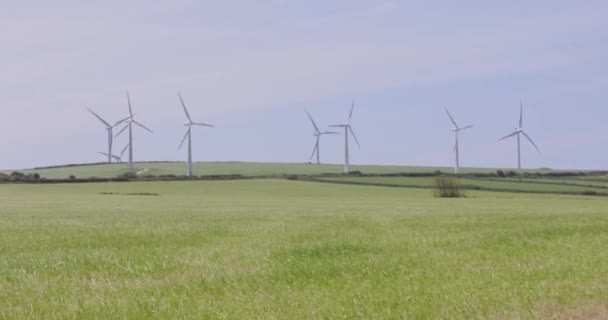 Windturbines voor de opwekking van elektriciteit — Stockvideo