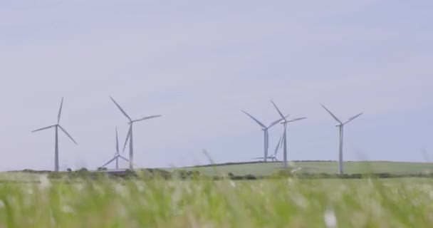 Vindturbiner för elenergiproduktion — Stockvideo