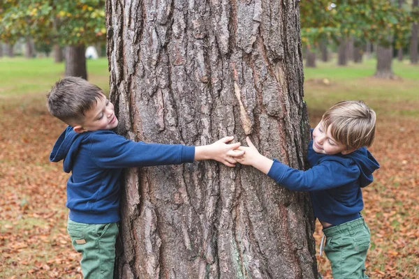 Two Little Brothers Boys Hugging Tree Wood Smiling Love Nature —  Fotos de Stock