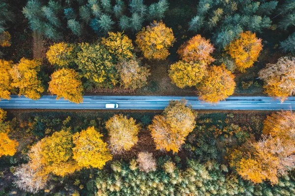 Aerial Drone Top View Car Driving Countryside Road Wood Autumn — Stock Fotó