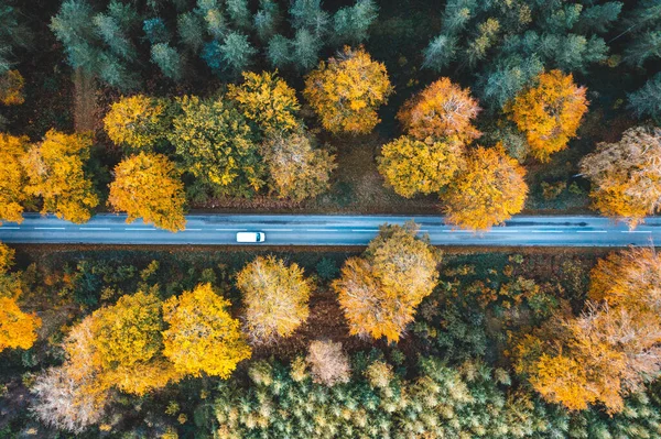 Letecký Dron Shora Dolů Pohled Auto Jedoucí Venkovské Silnici Lesem — Stock fotografie