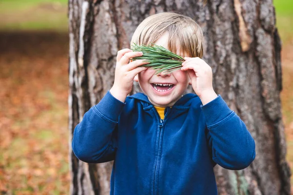 Lachende Gelukkige Jongen Portret Verbergen Achter Dennenboom Naalden Bladeren Speelse — Stockfoto