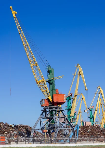 Bulkhåndteringskraner i havn – stockfoto