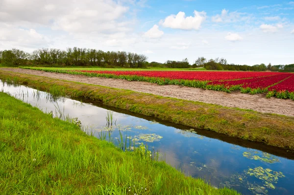 Canale di irrigazione — Foto Stock