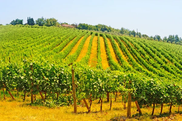 Tuscany — Stock Photo, Image