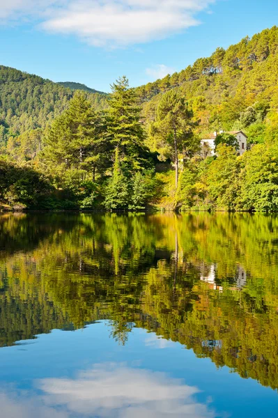 Shore of Lake — Stock Photo, Image